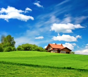 Dream House