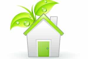 Eco Friendly Construction
