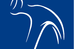 SCI Logo